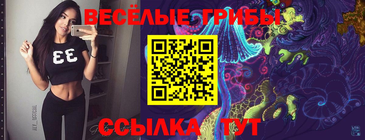 Псилоцибиновые грибы мицелий Обь